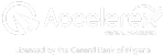 Accelerex